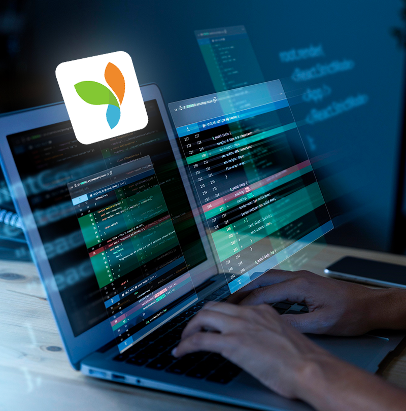 yii development service